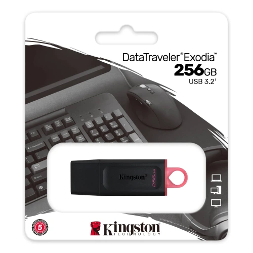 Kingston DataTraveler 256GB USB Flash Drive – High-Speed Storage 1 Kingston DataTraveler 256GB USB Flash Drive – High-Speed Storage