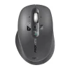 samotri black 1