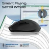 samotri black 3